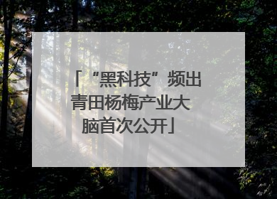 “黑科技”频出 青田杨梅产业大脑首次公开