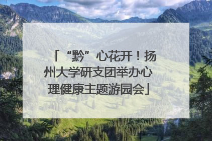“黔”心花开！扬州大学研支团举办心理健康主题游园会