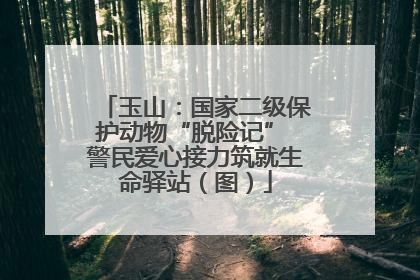 玉山：国家二级保护动物“脱险记” 警民爱心接力筑就生命驿站（图）