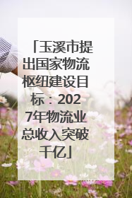 玉溪市提出国家物流枢纽建设目标：2027年物流业总收入突破千亿