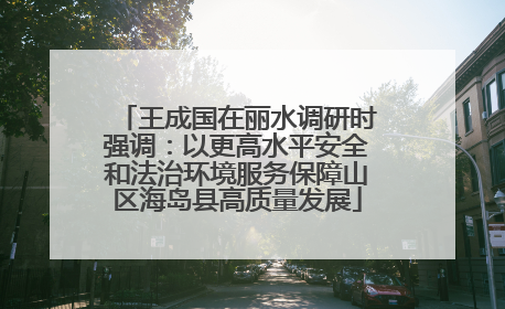 王成国在丽水调研时强调：以更高水平安全和法治环境服务保障山区海岛县高质量发展