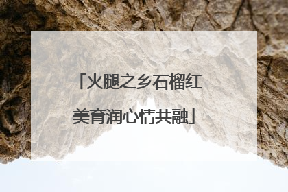 火腿之乡石榴红 美育润心情共融