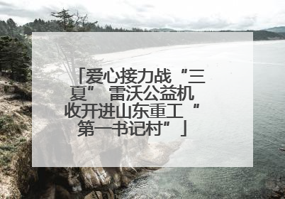 爱心接力战“三夏” 雷沃公益机收开进山东重工“第一书记村”