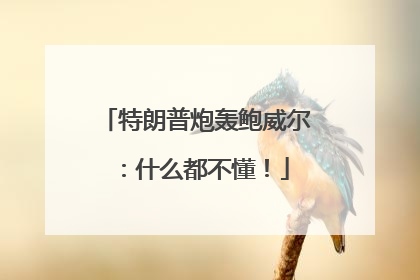 特朗普炮轰鲍威尔：什么都不懂！