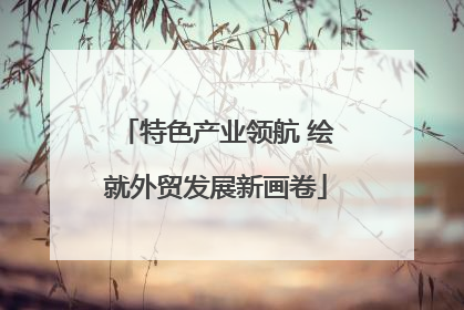 特色产业领航 绘就外贸发展新画卷