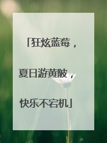 狂炫蓝莓，夏日游黄陂，快乐不宕机
