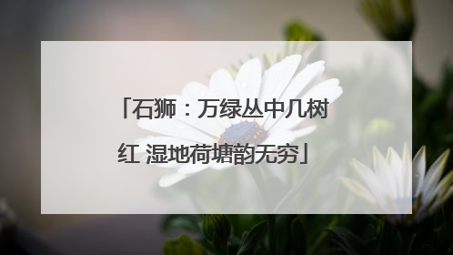 石狮：万绿丛中几树红 湿地荷塘韵无穷
