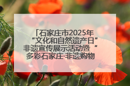 石家庄市2025年“文化和自然遗产日”非遗宣传展示活动暨“多彩石家庄·非遗购物节”倒计时1天