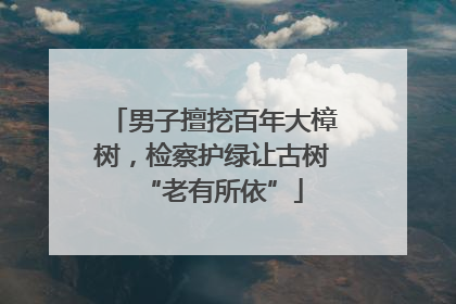 男子擅挖百年大樟树，检察护绿让古树“老有所依”