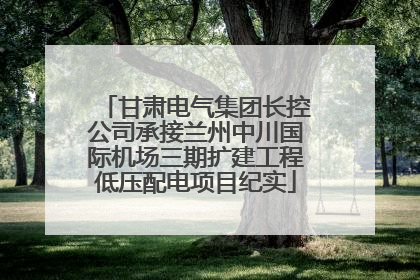 甘肃电气集团长控公司承接兰州中川国际机场三期扩建工程低压配电项目纪实