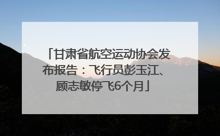 甘肃省航空运动协会发布报告：飞行员彭玉江、顾志敏停飞6个月