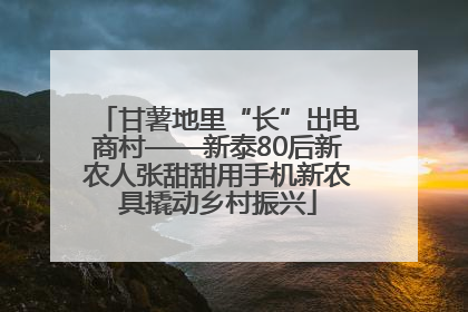 甘薯地里“长”出电商村——新泰80后新农人张甜甜用手机新农具撬动乡村振兴