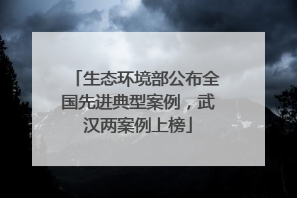 生态环境部公布全国先进典型案例，武汉两案例上榜