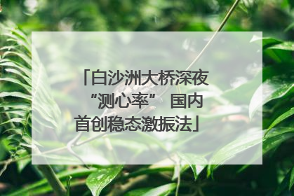 白沙洲大桥深夜“测心率” 国内首创稳态激振法