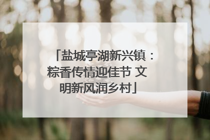 盐城亭湖新兴镇：粽香传情迎佳节 文明新风润乡村