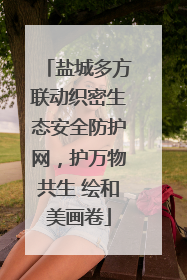 盐城多方联动织密生态安全防护网，护万物共生 绘和美画卷