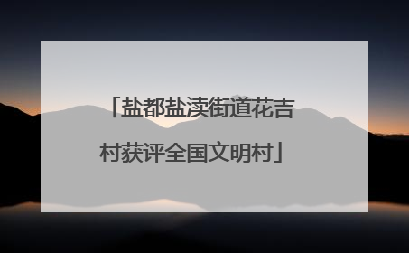 盐都盐渎街道花吉村获评全国文明村