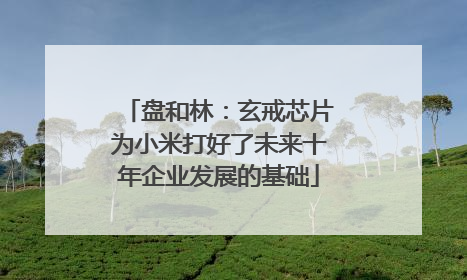 盘和林：玄戒芯片为小米打好了未来十年企业发展的基础