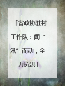 省政协驻村工作队：闻“汛”而动，全力抗洪