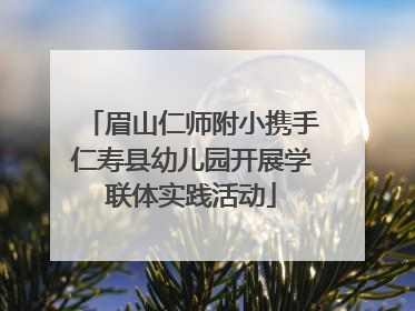 眉山仁师附小携手仁寿县幼儿园开展学联体实践活动