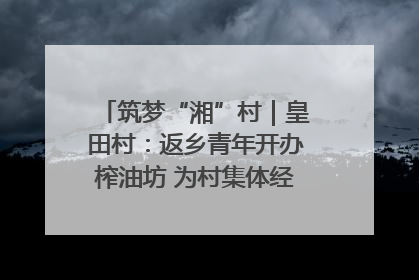 筑梦“湘”村｜皇田村：返乡青年开办榨油坊 为村集体经济“加油”