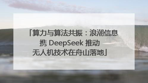 算力与算法共振：浪潮信息携 DeepSeek 推动无人机技术在舟山落地