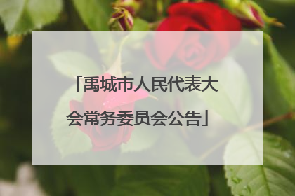 禹城市人民代表大会常务委员会公告