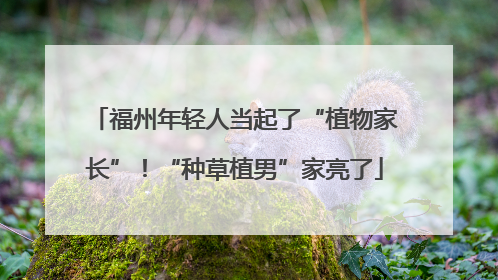 福州年轻人当起了“植物家长”！“种草植男”家亮了