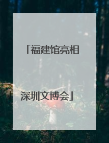 福建馆亮相深圳文博会