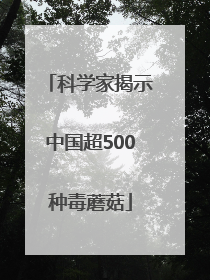 科学家揭示中国超500种毒蘑菇
