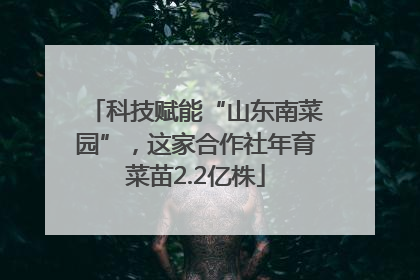 科技赋能“山东南菜园”，这家合作社年育菜苗2.2亿株