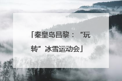 秦皇岛昌黎：“玩转”冰雪运动会