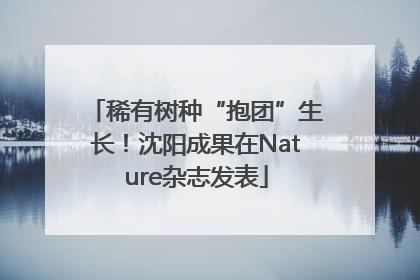 稀有树种“抱团”生长！沈阳成果在Nature杂志发表