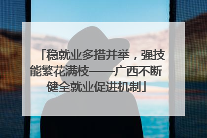 稳就业多措并举，强技能繁花满枝——广西不断健全就业促进机制