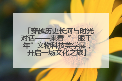 穿越历史长河与时光对话——来看“一眼千年”文物科技美学展，开启一场文化之旅