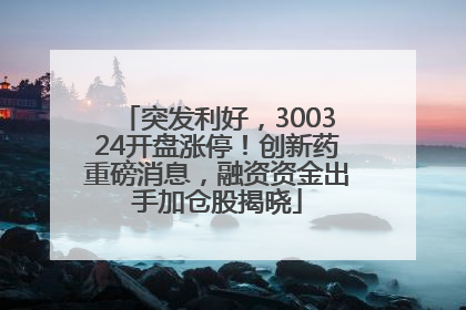 突发利好，300324开盘涨停！创新药重磅消息，融资资金出手加仓股揭晓