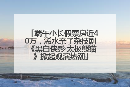 端午小长假票房近40万，浠水亲子杂技剧《黑白侠影·太极熊猫》掀起观演热潮