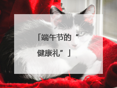 端午节的“健康礼”