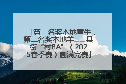 第一名奖本地黄牛，第二名奖本地羊……县街“村BA”（2025春季赛）圆满完赛