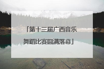 第十三届广西音乐舞蹈比赛圆满落幕