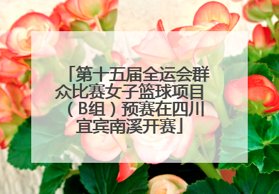 第十五届全运会群众比赛女子篮球项目（B组）预赛在四川宜宾南溪开赛