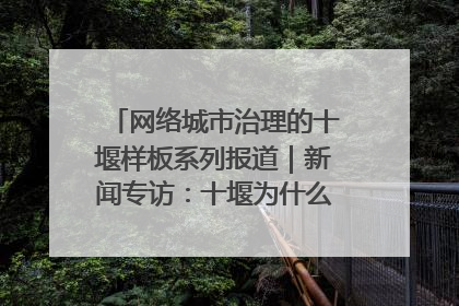 网络城市治理的十堰样板系列报道｜新闻专访：十堰为什么成为“黑马型”城市治理网络维度典型