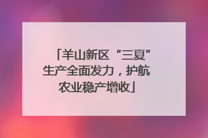 羊山新区“三夏”生产全面发力，护航农业稳产增收