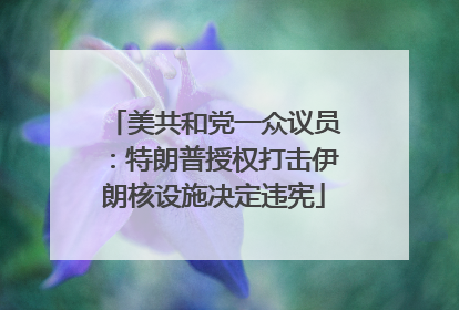 美共和党一众议员：特朗普授权打击伊朗核设施决定违宪