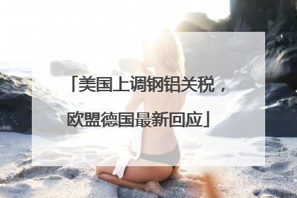 美国上调钢铝关税，欧盟德国最新回应