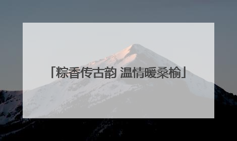 粽香传古韵 温情暖桑榆