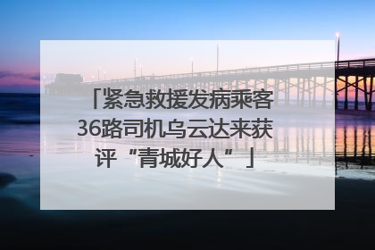 紧急救援发病乘客 36路司机乌云达来获评“青城好人”