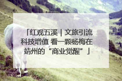红观五溪｜文旅引流 科技增值 看一颗杨梅在靖州的“商业觉醒”