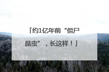 约1亿年前“僵尸昆虫”，长这样！
