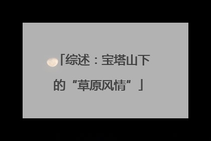 综述：宝塔山下的“草原风情”